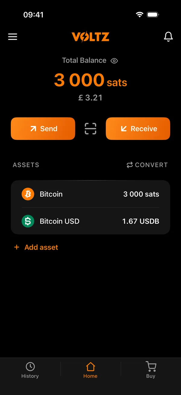 The Voltz home screen with the balance and the assets
