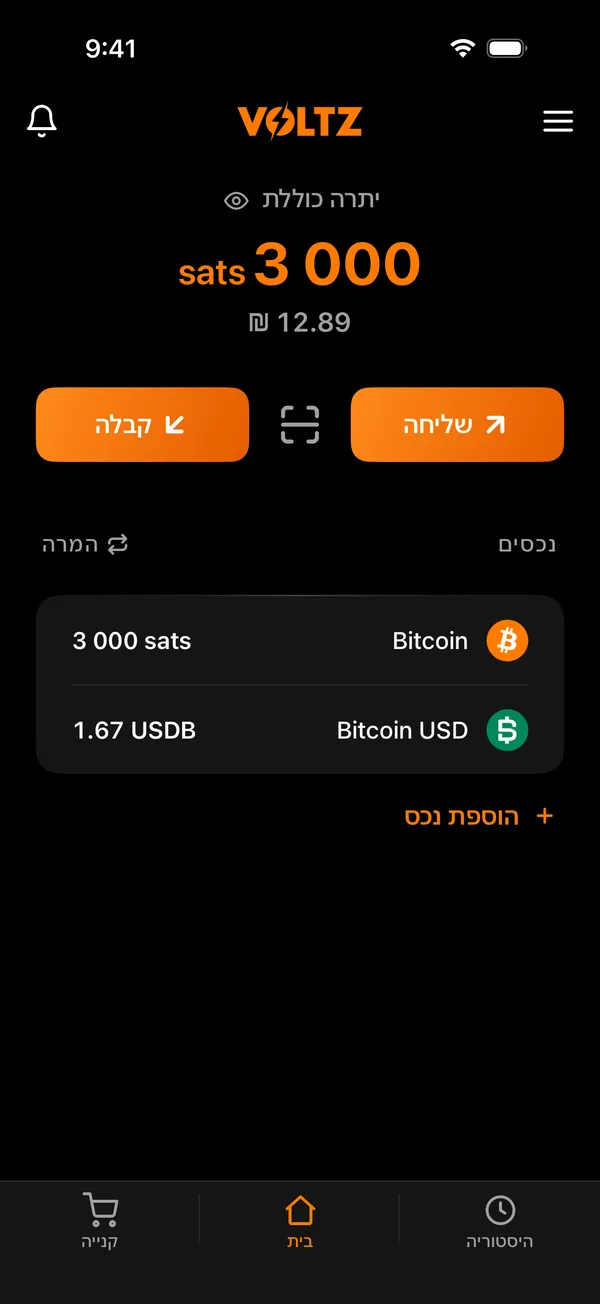 מסך הבית של Voltz עם היתרה והנכסים