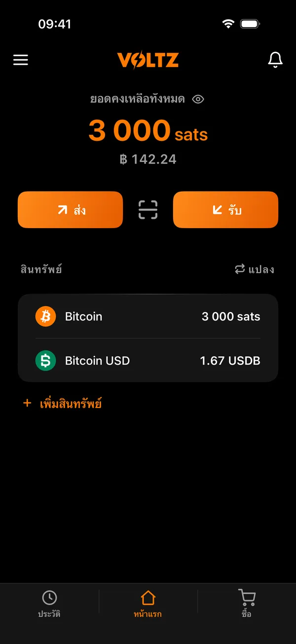 หน้าแรกของ Voltz แสดงยอดคงเหลือและสินทรัพย์