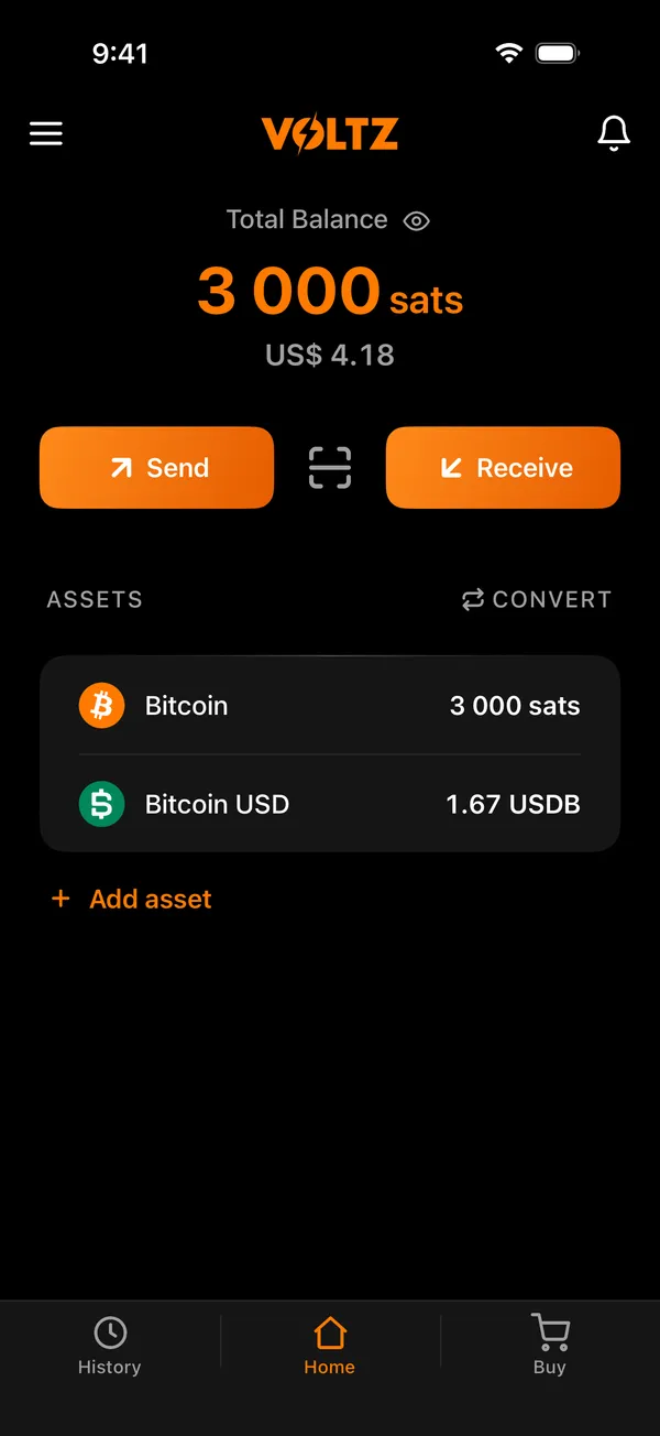 The Voltz home screen with the balance and the assets
