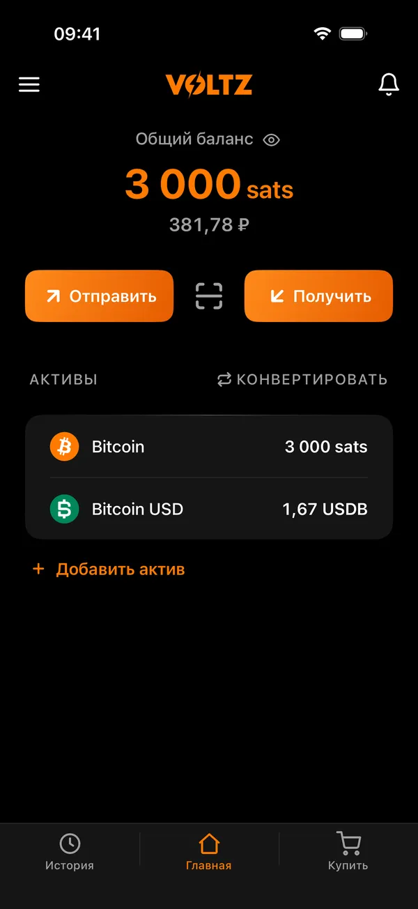 Главный экран Voltz с балансом и активами