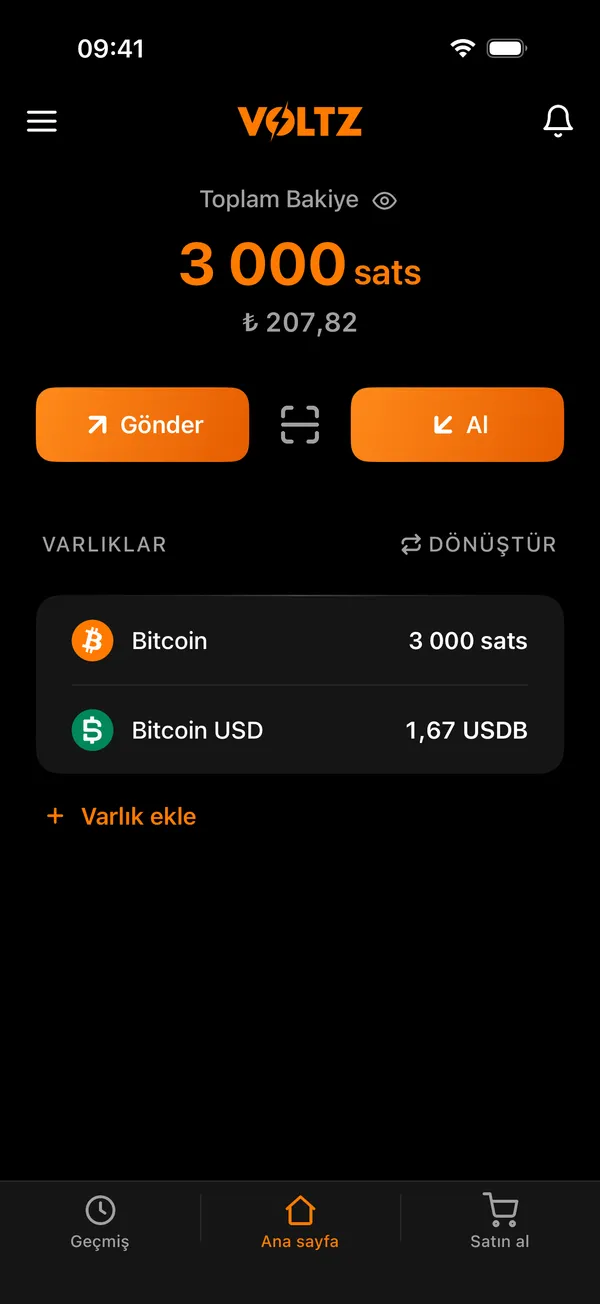 Bakiyeyi ve varlıkları gösteren Voltz ana ekranı