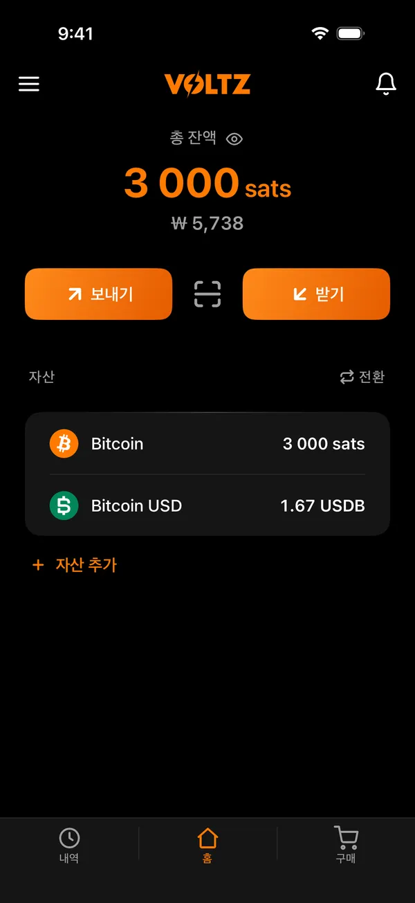 잔액과 자산이 보이는 Voltz 홈 화면