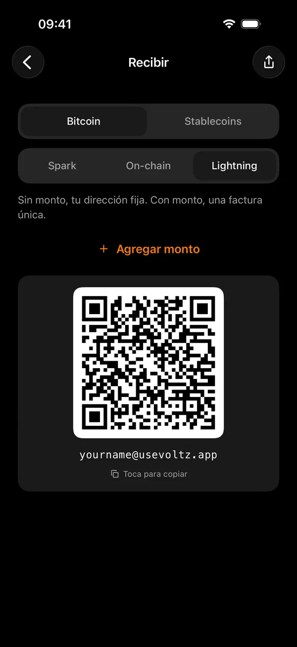La pantalla Recibir de Voltz, que pide un importe