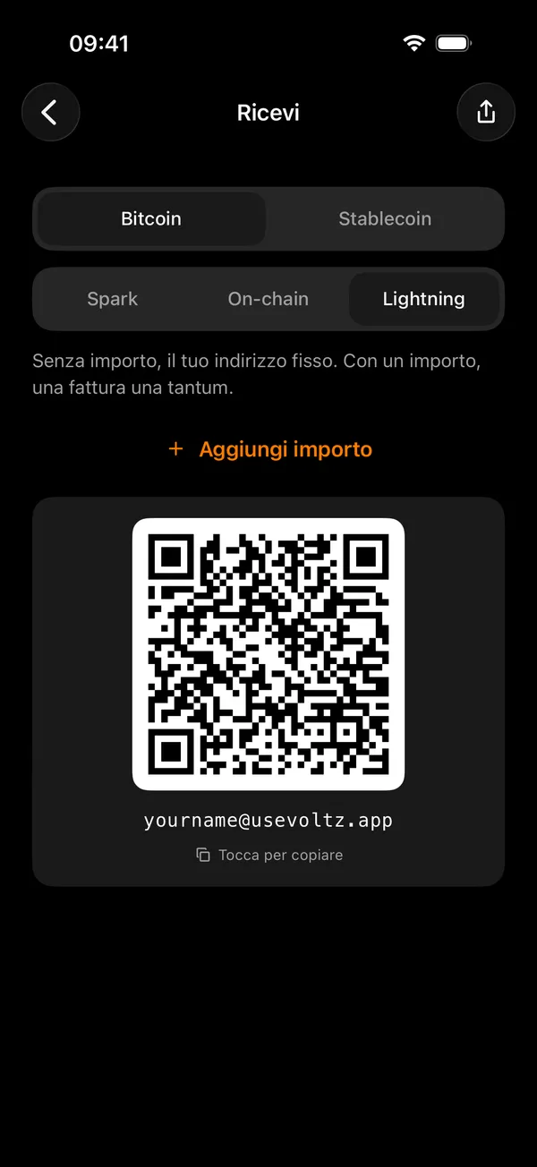 La schermata di ricezione di Voltz, che chiede un importo