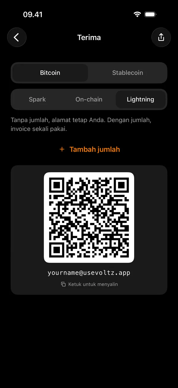 Layar terima Voltz yang meminta jumlah