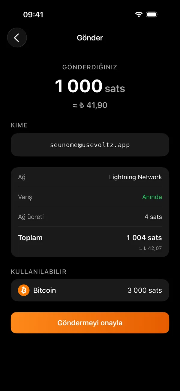 Bir faturanın ya da adresin yapıştırıldığı Voltz gönderme ekranı