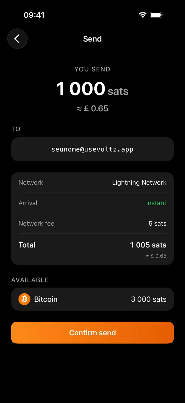 The Voltz send screen, where an invoice or an address is pasted